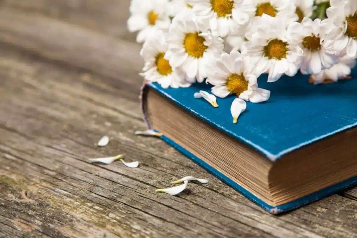 ¡La primavera la sangre altera! Libros para leer en la estación del amor y los paseos al aire libre libros para leer en primavera