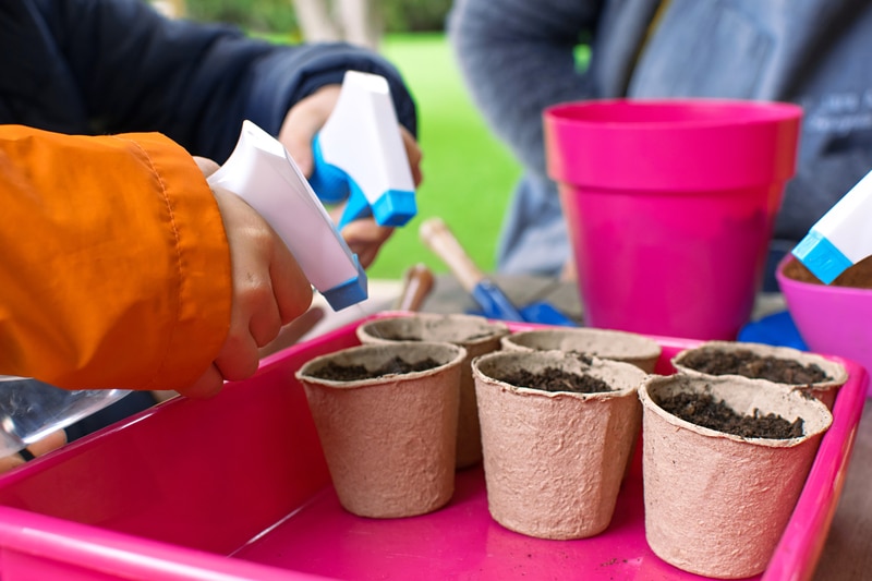 beneficios de tener un huerto escolar