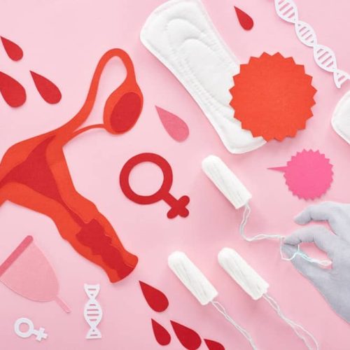 Explica a tu alumnado qué es la menstruación con estos libros