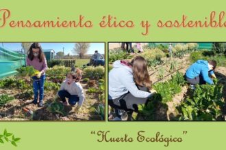 Experiencia emprendimiento