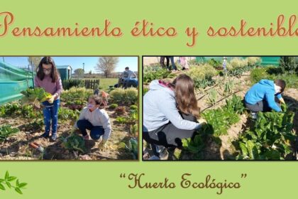 Experiencia emprendimiento