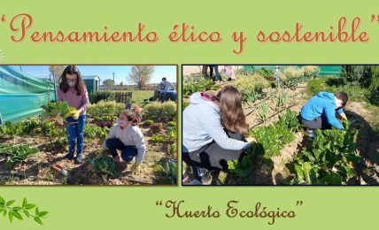 Experiencia emprendimiento