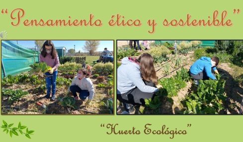 Experiencia emprendimiento