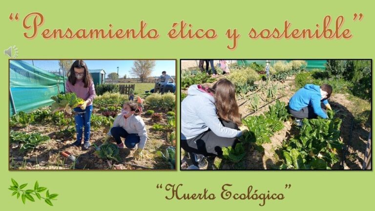Experiencia emprendimiento