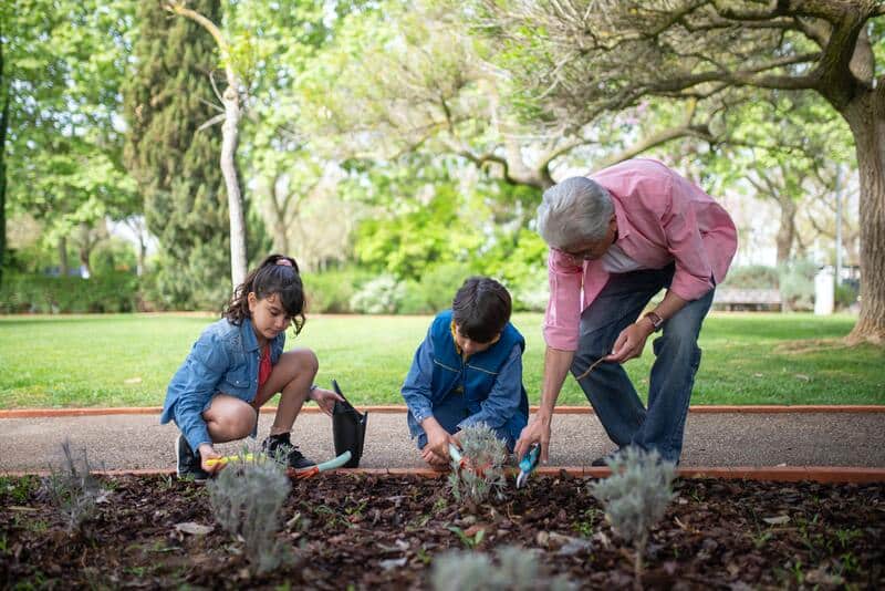 Juegos para abuelos y nietos