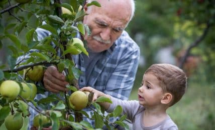 Juegos Para Nietos Y Abuelos ¡Diversion Entre Generaciones