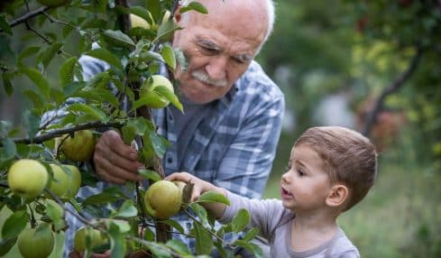 Juegos para nietos y abuelos ¡Diversion entre generaciones