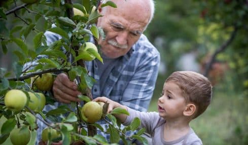 Juegos Para Nietos Y Abuelos ¡Diversion Entre Generaciones