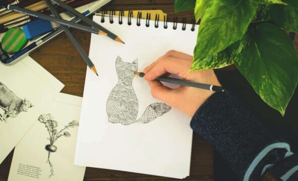 Recursos Aprende A Dibujar