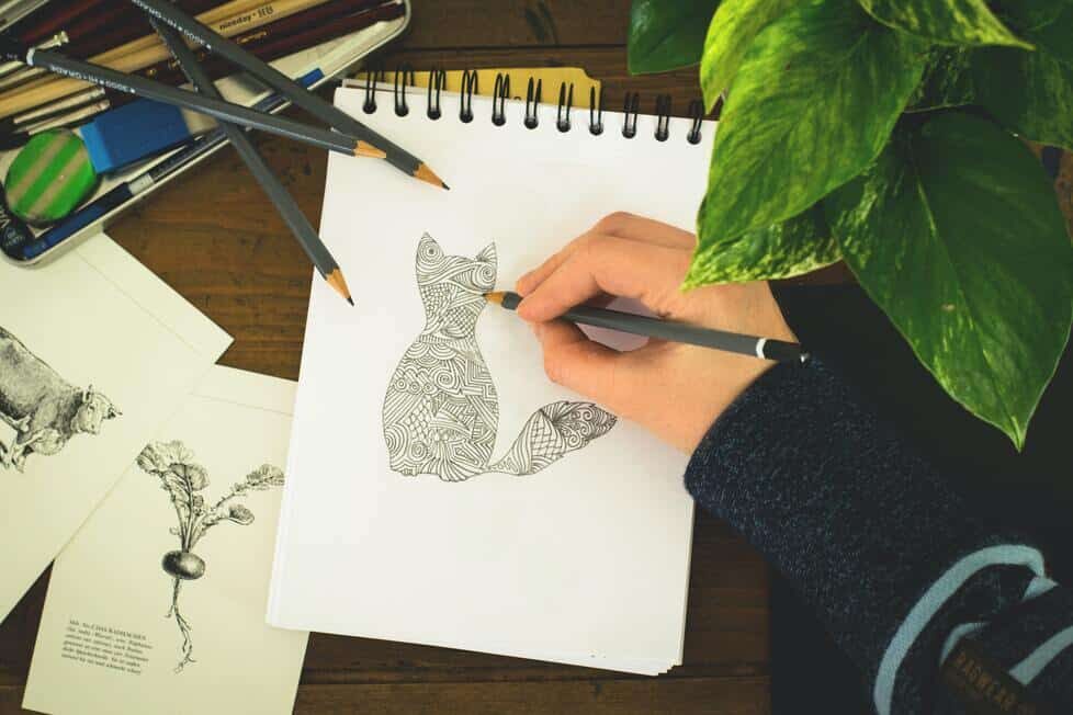 gatostiernos.ml  Dibujo gato facil, Como dibujar un gato, Tutorial de  dibujo de gato