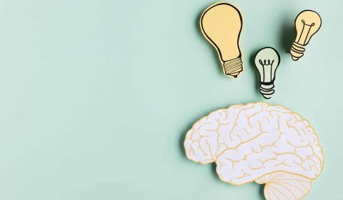 cursos de neuroeducación