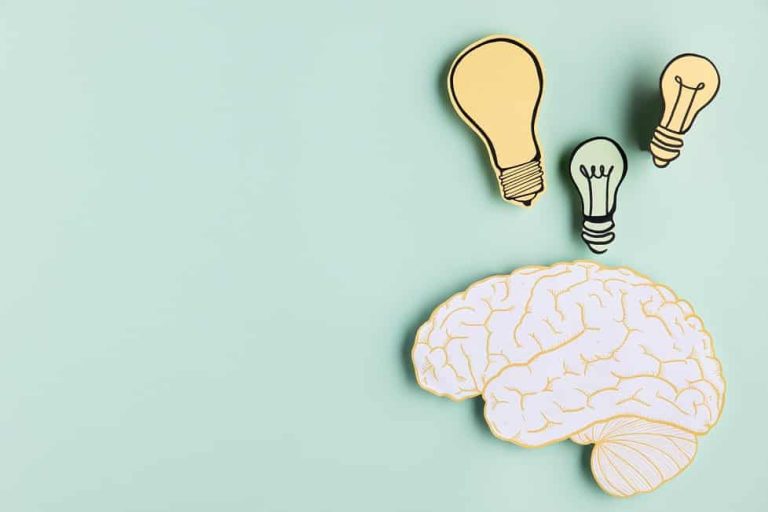 cursos de neuroeducación