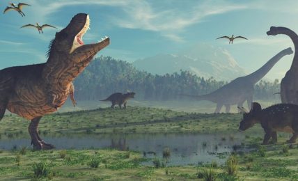 Dinoturismo