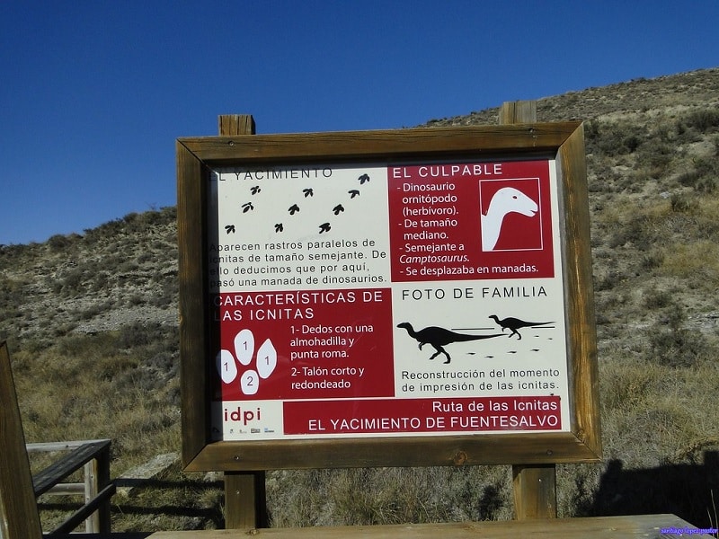 Ruta de las icnitas de Soria