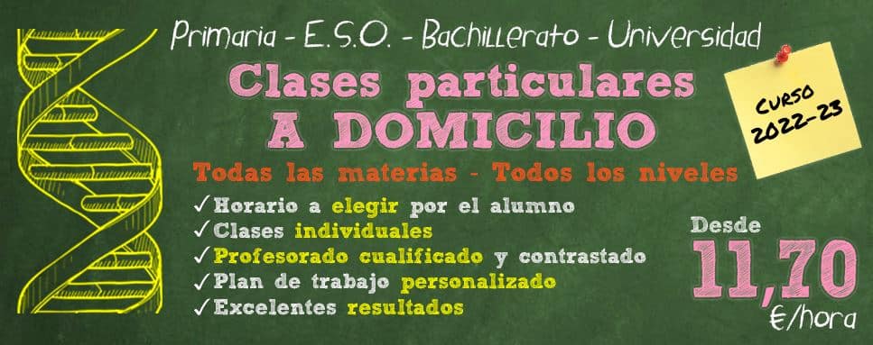 Academia en casa clases particulares online