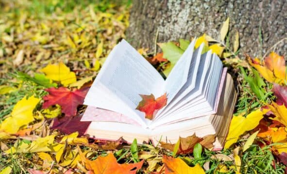 Descargar Libros Gratis