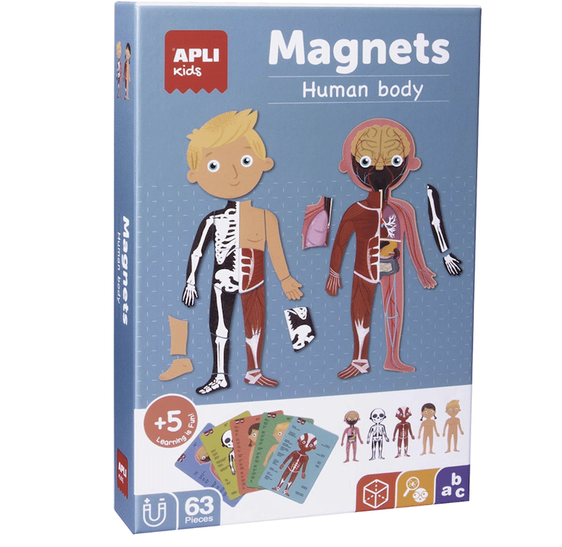 magnets