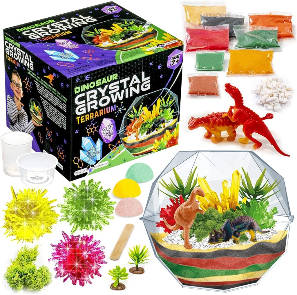 Kit de terrario de dinosaurios