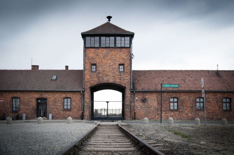 libros nazismo