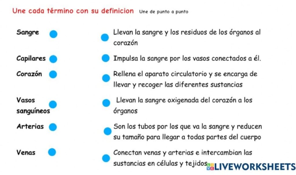 Unir con flechas