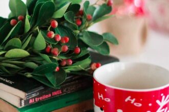 Libros ambientados en navidad