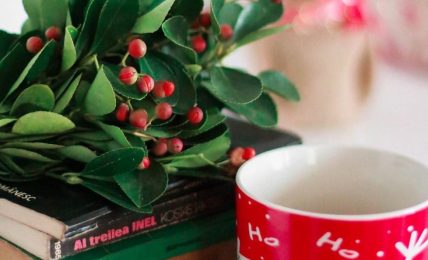 Libros ambientados en navidad