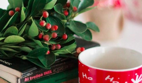 Libros ambientados en navidad