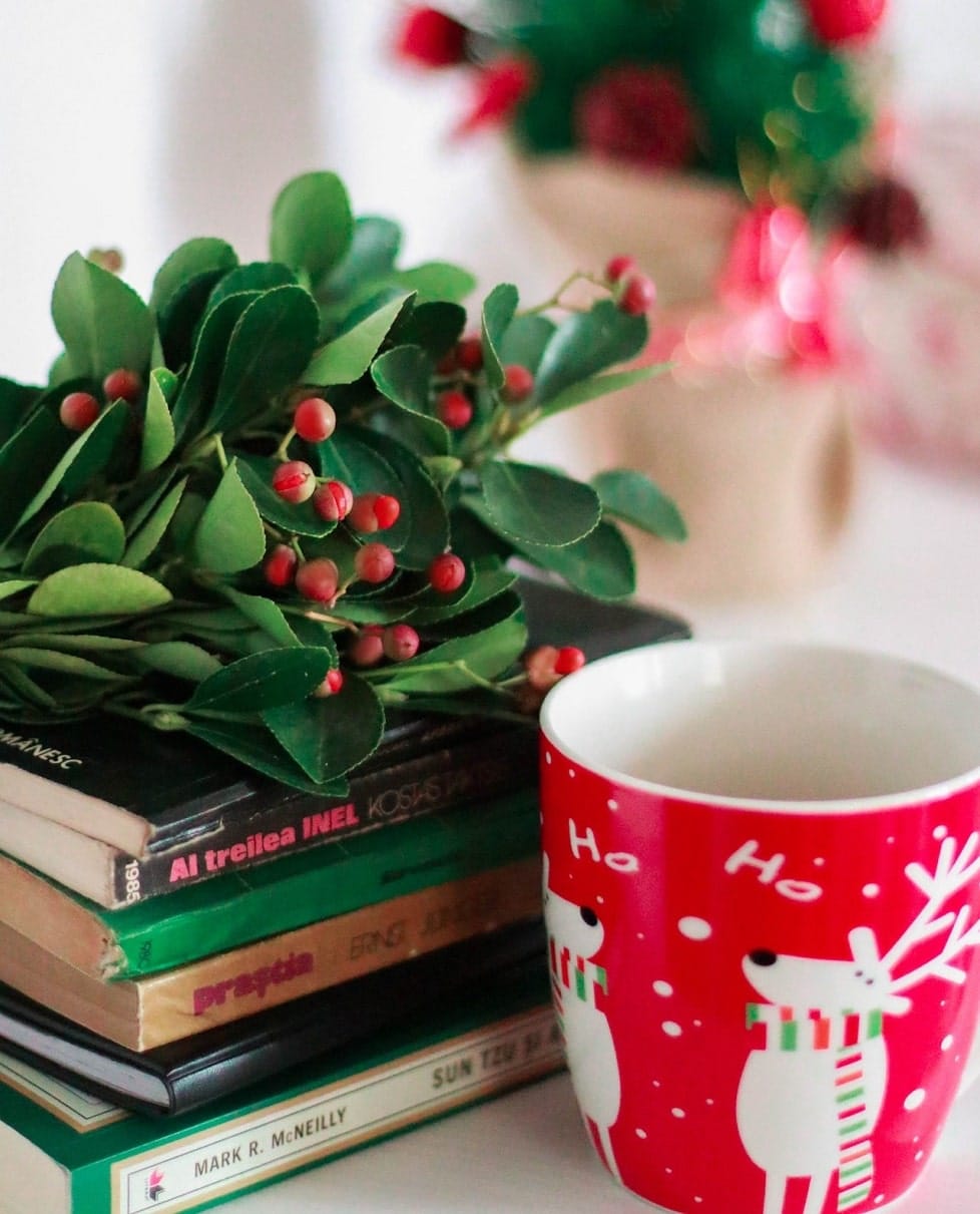 14 Libros ambientados en Navidad