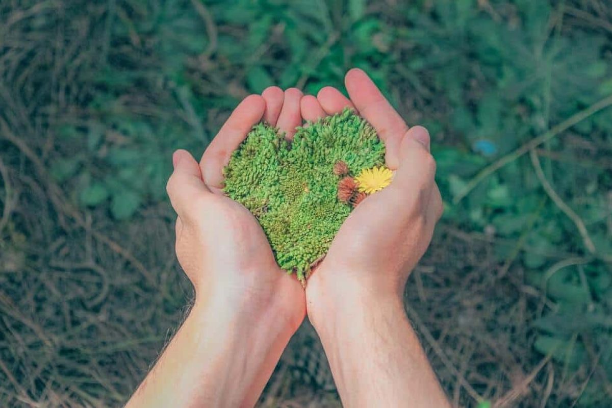 Últimas semanas para participar en el concurso escolar ‘Hazlo Verde’ Hazlo Verde