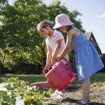 Beneficios de tener un huerto escolar