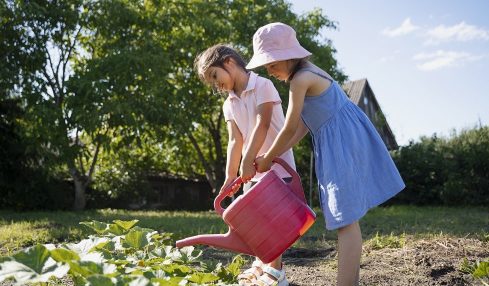 Beneficios de tener un huerto escolar