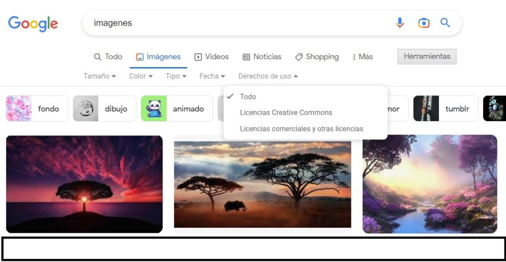 Cómo Buscar Imágenes En Google