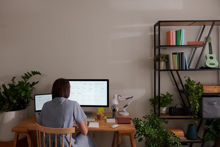 Monitores para la productividad