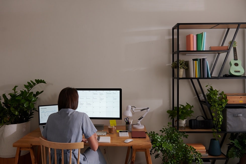 Monitores para la productividad