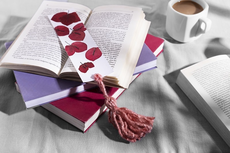 libros de amor San Valentín 