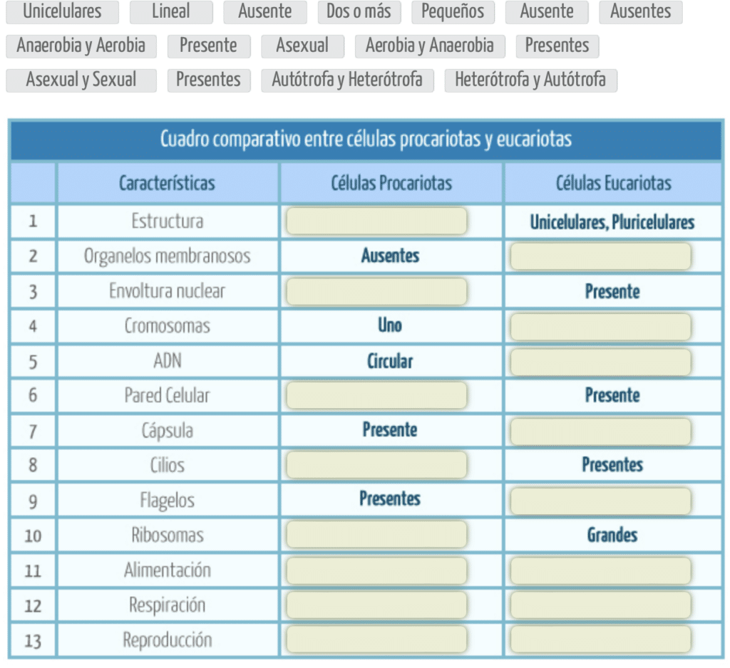 Ejercicio interactivo sobre las partes de la célula