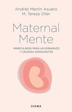 Ebook GUÍA PARA UN EMBARAZO CONSCIENTE EBOOK de LAIA CASADEVALL