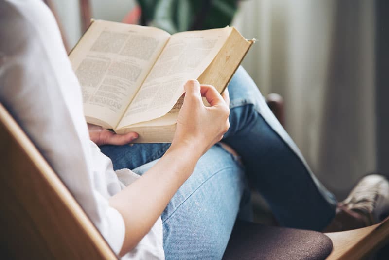 Nuestras lecturas recomendadas del mes de enero