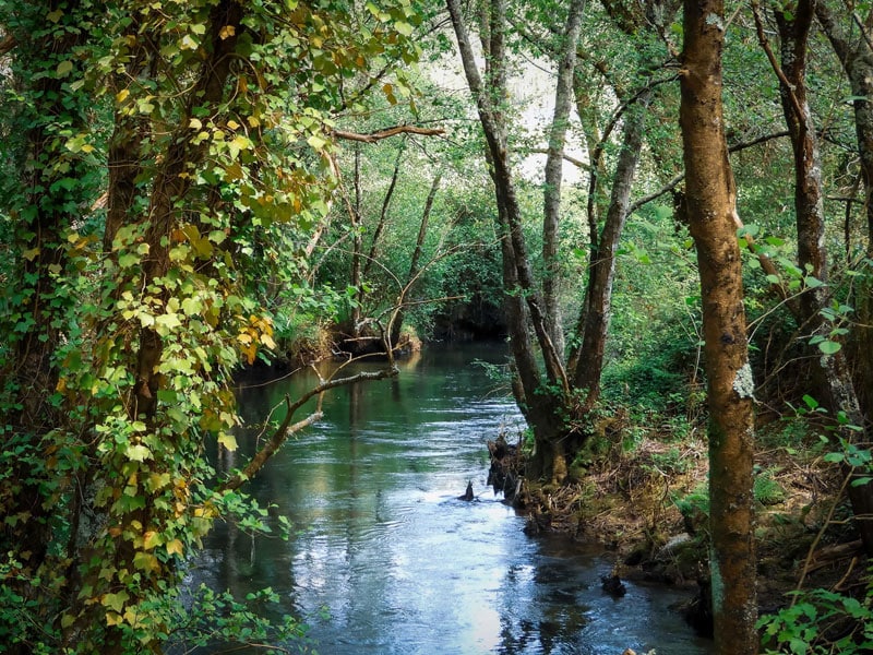 Ciencias de la Naturaleza para Secundaria