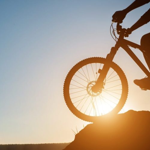 Estos libros enamorarán a los amantes de las bicicletas