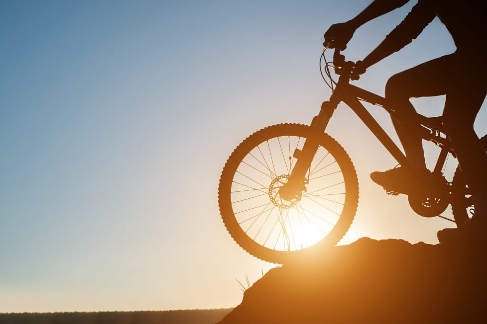Todo sobre sales bicicletas de montaña