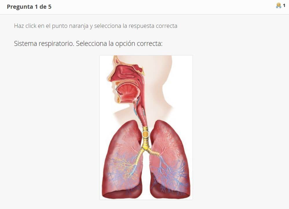 Ejemplo test