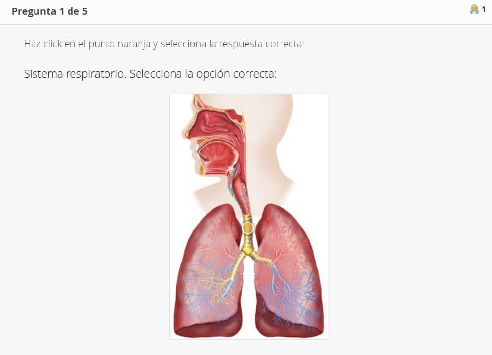 Ejemplo Test