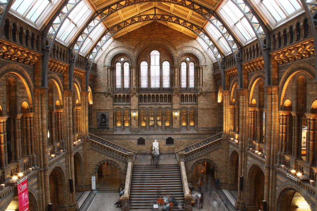 Natural History Museum, Londres
