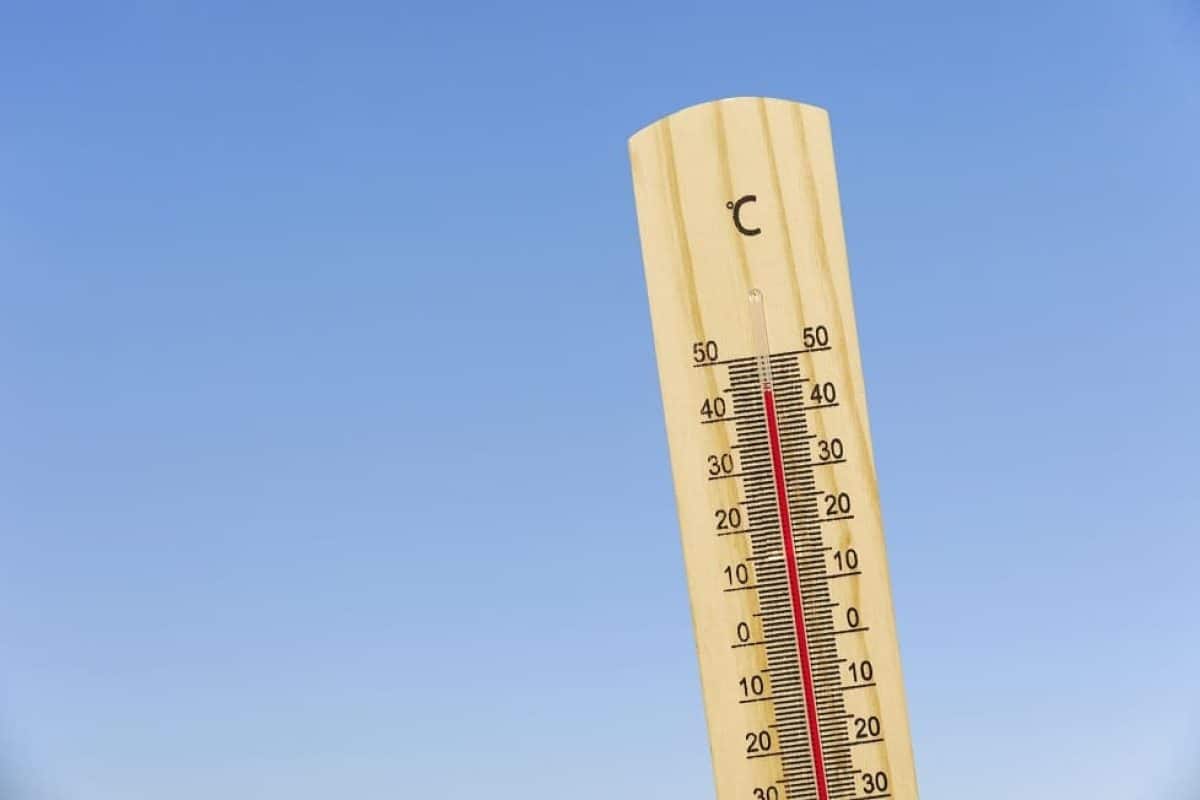 Así puedes adaptar tu centro escolar a las olas de calor olas de calor