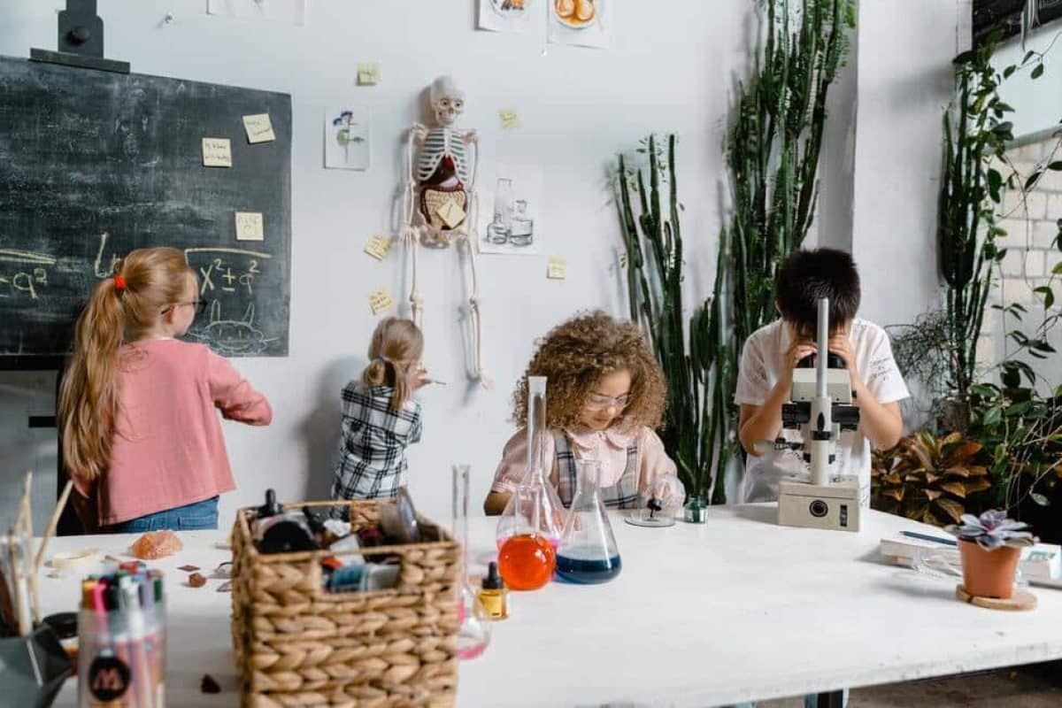 Descubre el Modelo Integral de Transición Activa hacia la Autonomía y cómo aplicarlo en el aula MITAA