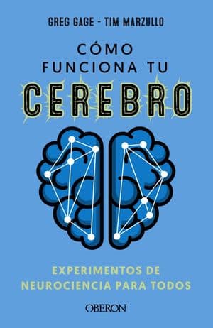 Como funciona tu cerebro