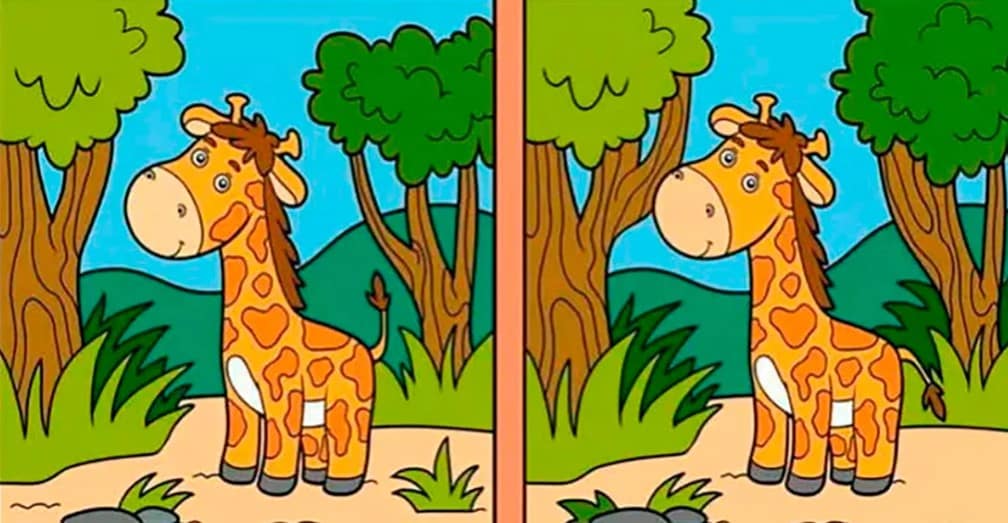 Encuentra las diferencias juegos mejorar la atención