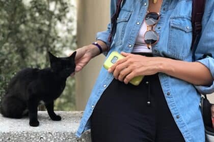 artur voznenko 63CM zn7Ohc unsplash