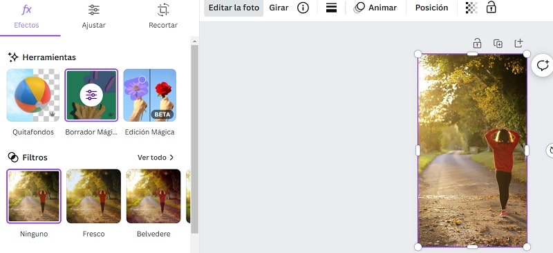 Borrador mágico 5 trucos canva 